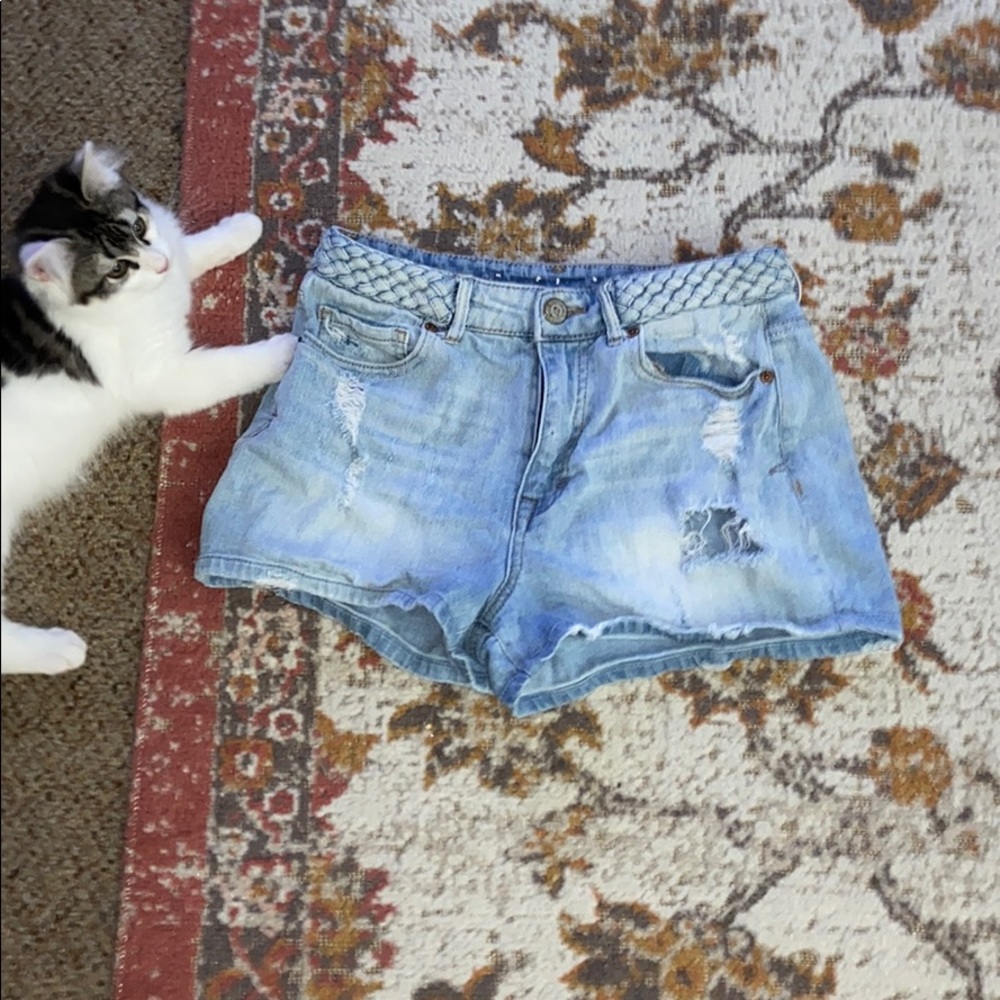 Bethany Mota shorts (kitten not included)